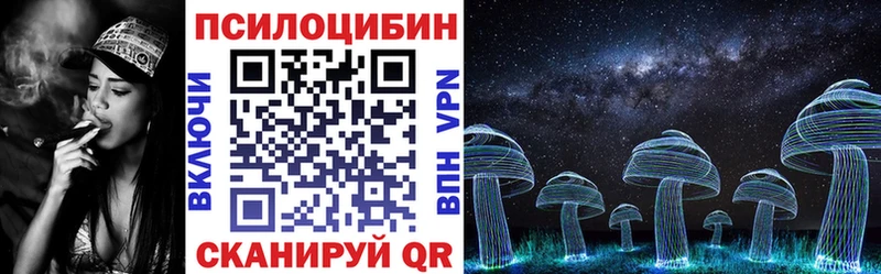 Купить закладки  Кашин  Псилоцибиновые грибы Psilocybine cubensis 